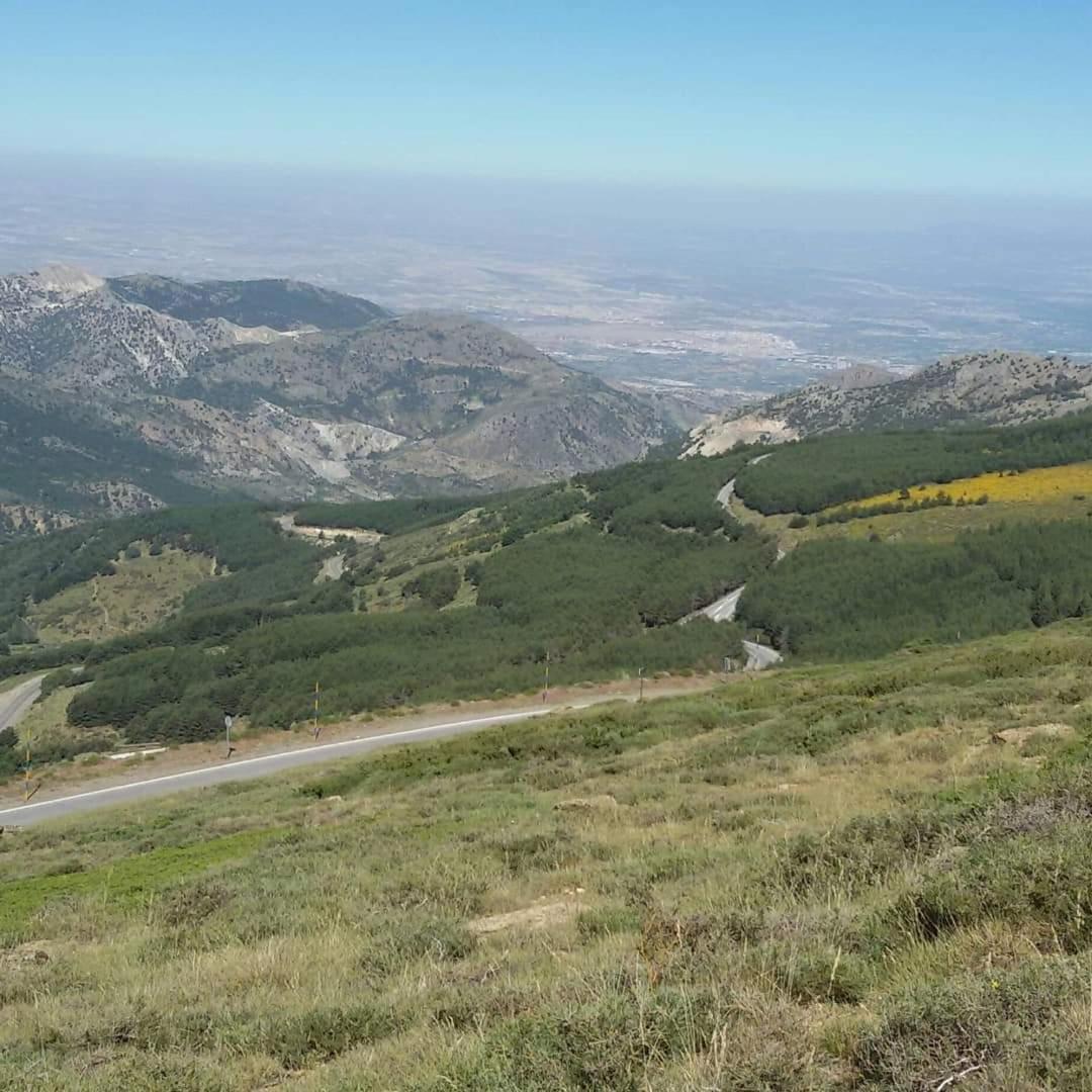 Casa Rural Cruz Pinta Murtas, Granada, Espana المظهر الخارجي الصورة