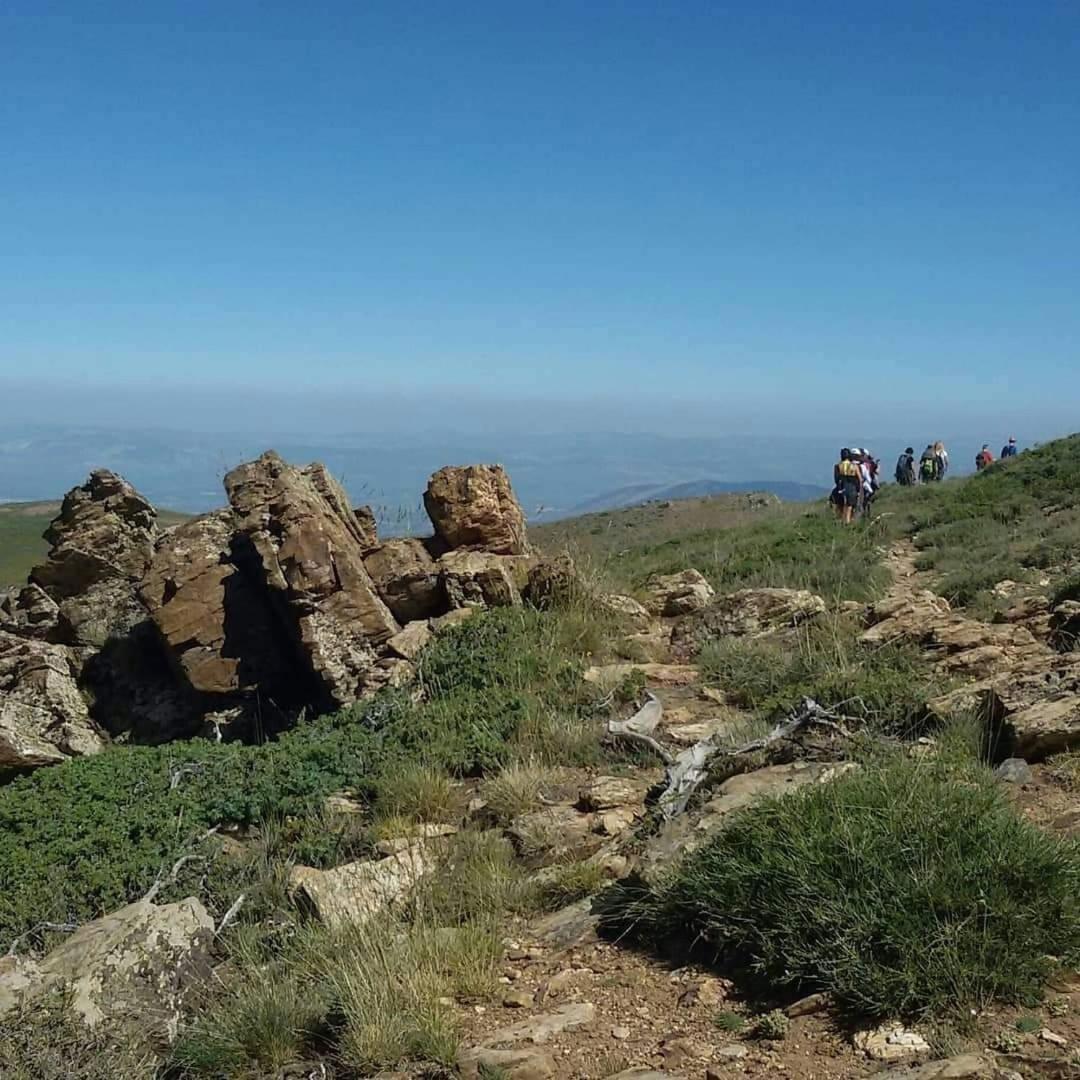 Casa Rural Cruz Pinta Murtas, Granada, Espana المظهر الخارجي الصورة